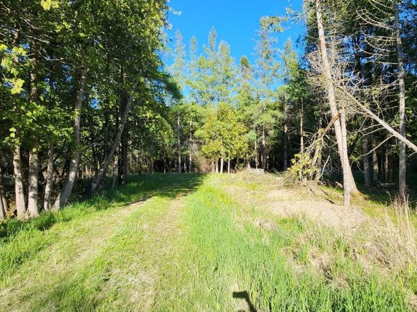 143 St. Martins Pt RD, Hessel, MI 49745