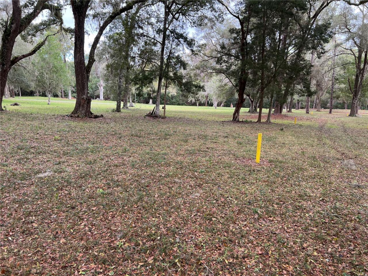 Burkitt Road Road, Dunnellon, FL 34432 Photo