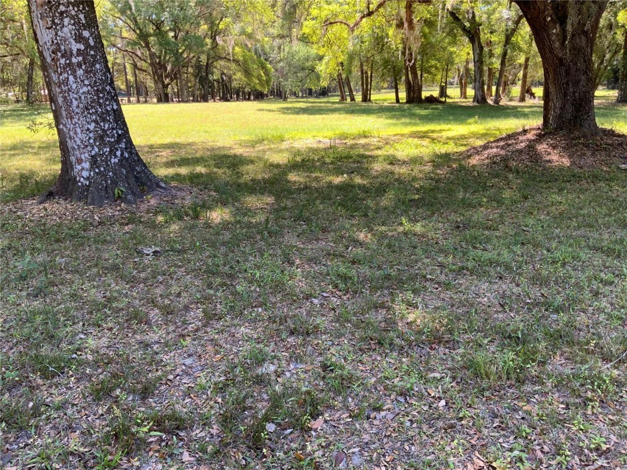 Burkitt Road Road, Dunnellon, FL 34432 Photo