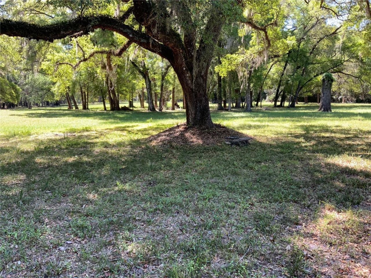 Burkitt Road Road, Dunnellon, FL 34432 Photo