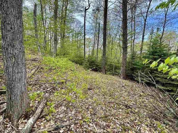 TBD Allen's Lakeview Road, Unit Lots 867 &, Beaver Island, MI 49782