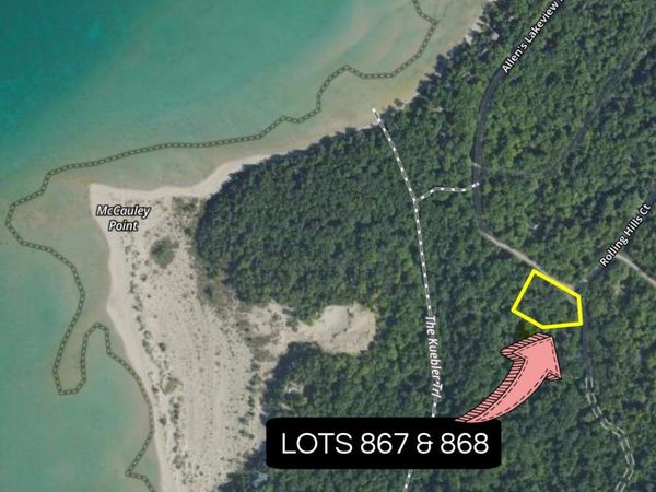 TBD Allen's Lakeview Road, Unit Lots 867 &, Beaver Island, MI 49782