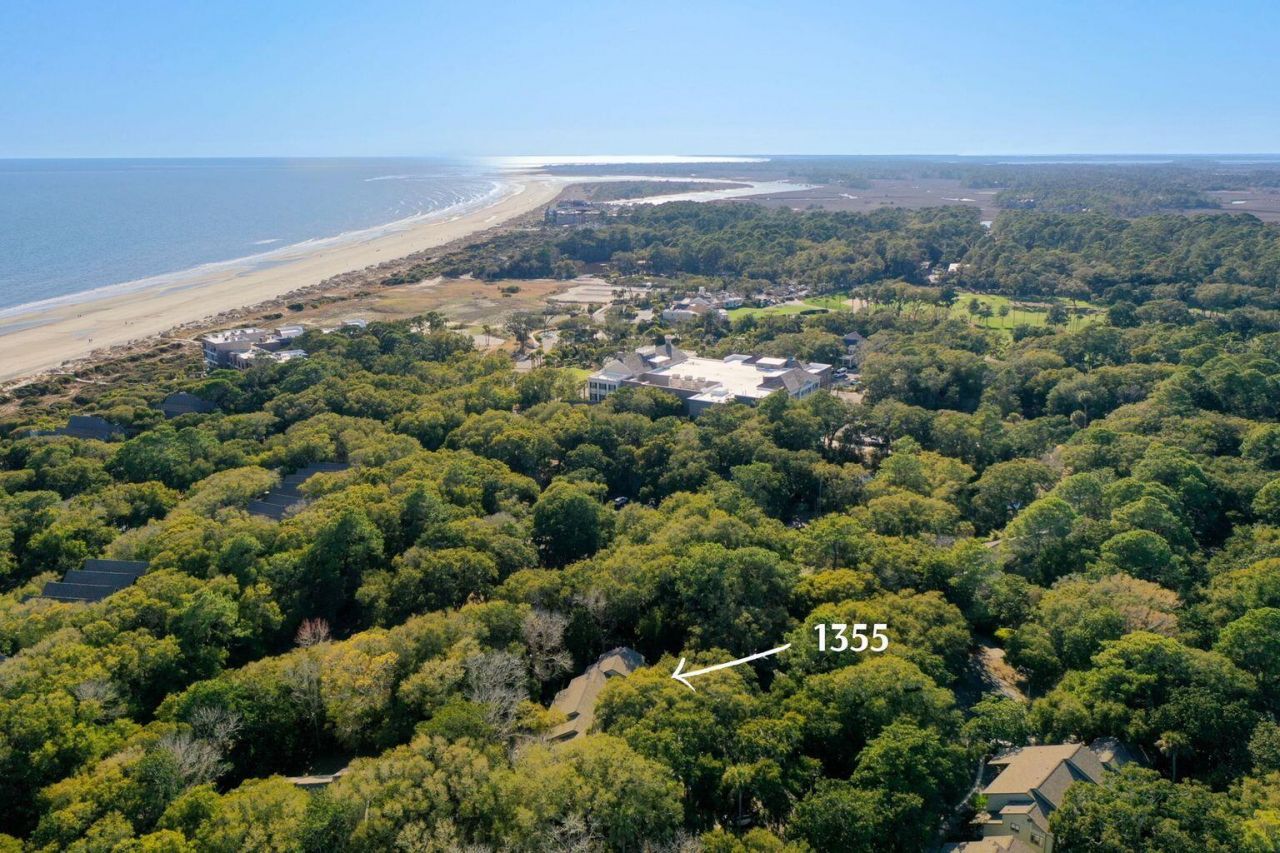 1355 Dunlin Court Photo 30