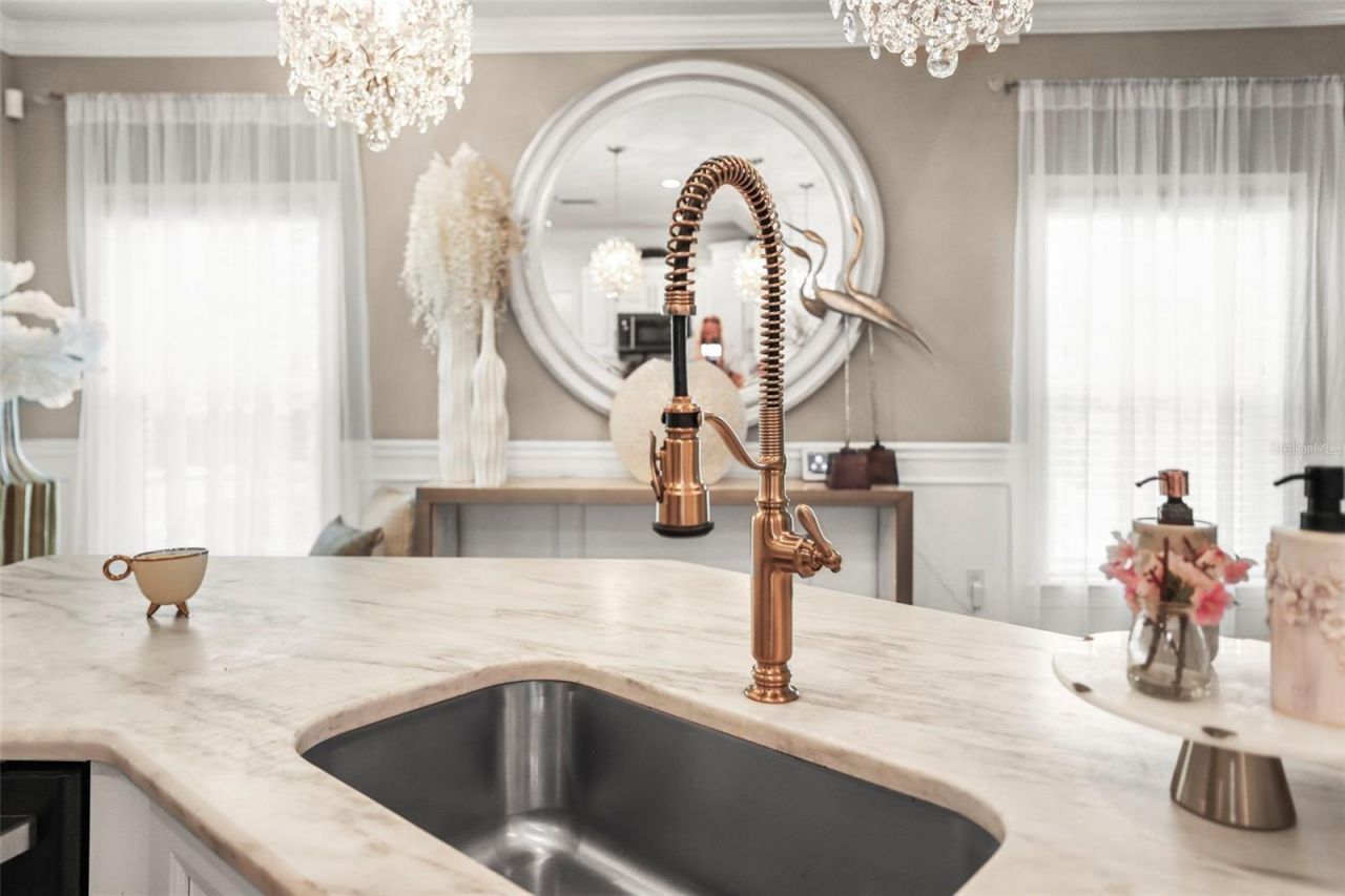 5332 Riverwalk Preserve Drive, New Port Richey, FL 34653 Photo