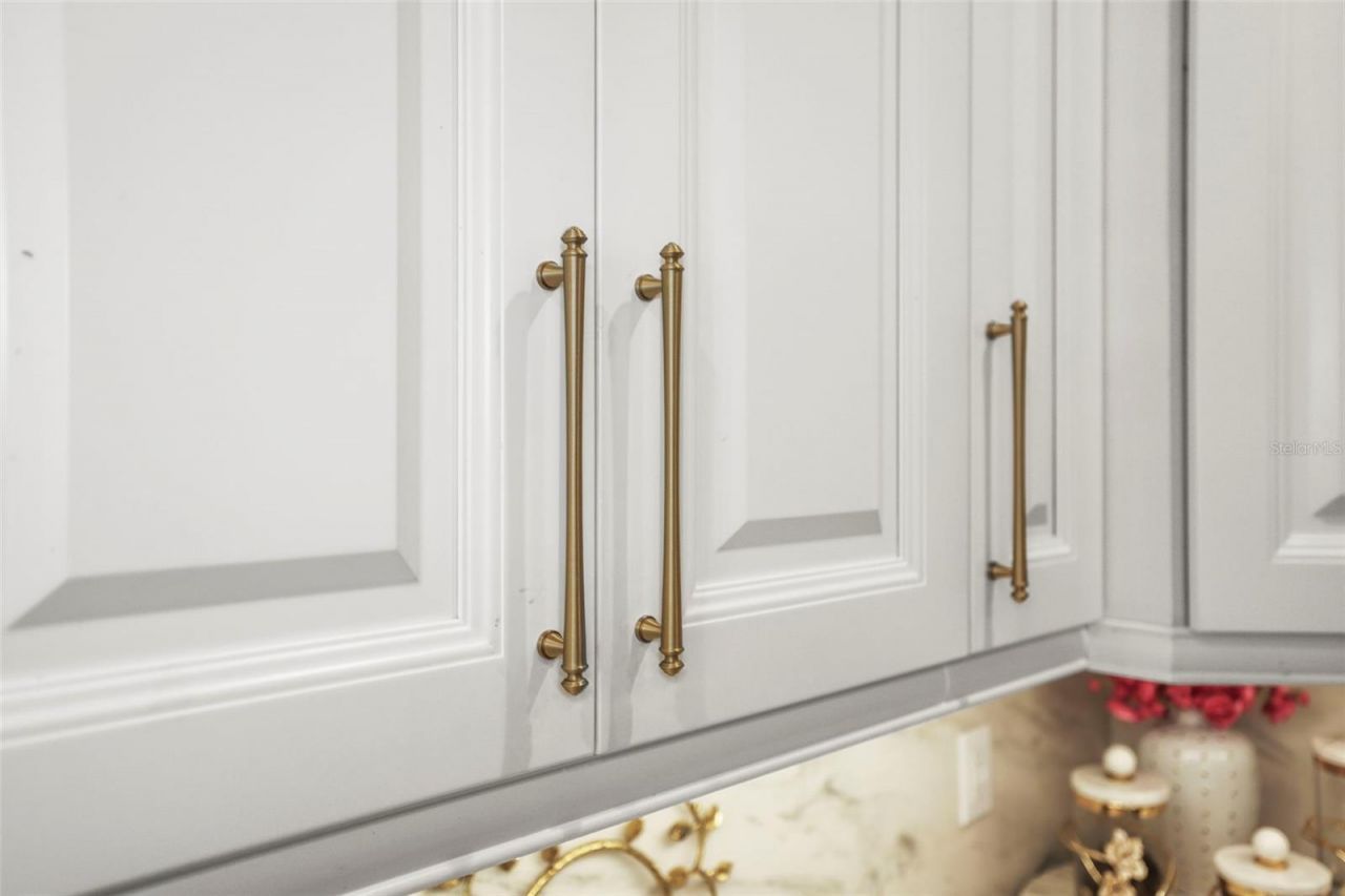 5332 Riverwalk Preserve Drive, New Port Richey, FL 34653 Photo