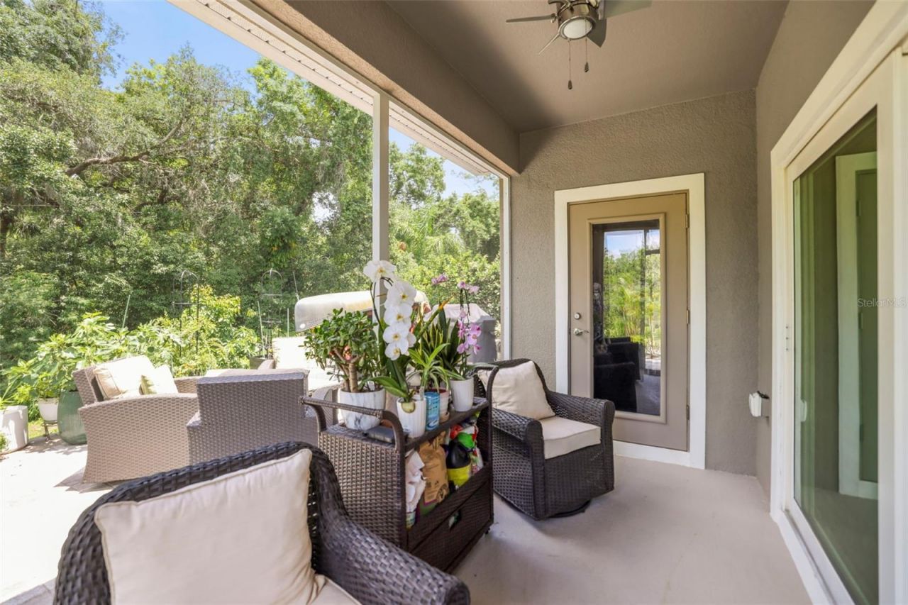 5332 Riverwalk Preserve Drive, New Port Richey, FL 34653 Photo