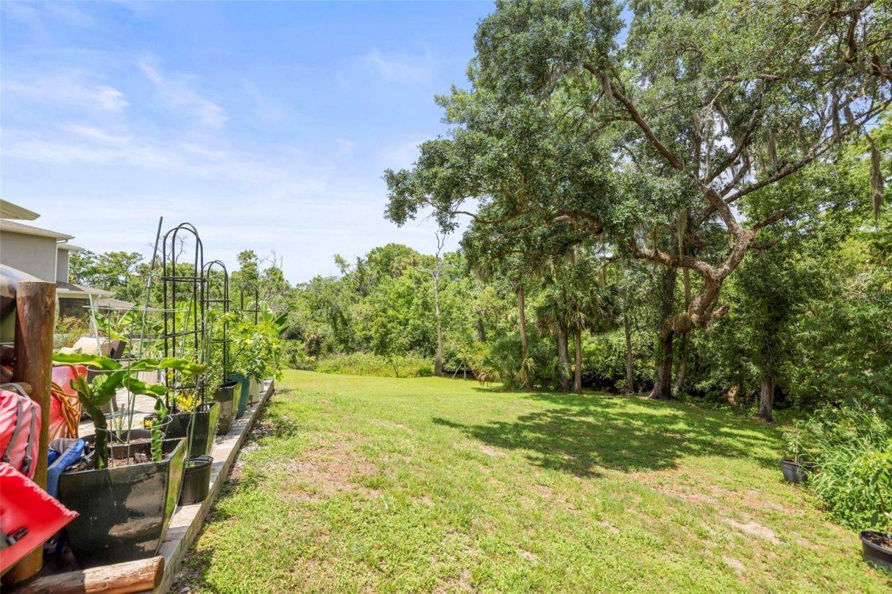 5332 Riverwalk Preserve Drive, New Port Richey, FL 34653 Photo