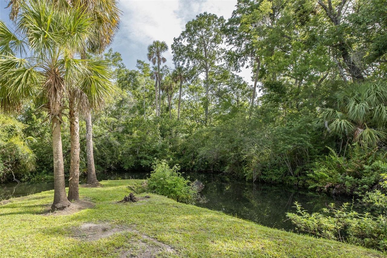 5332 Riverwalk Preserve Drive, New Port Richey, FL 34653 Photo