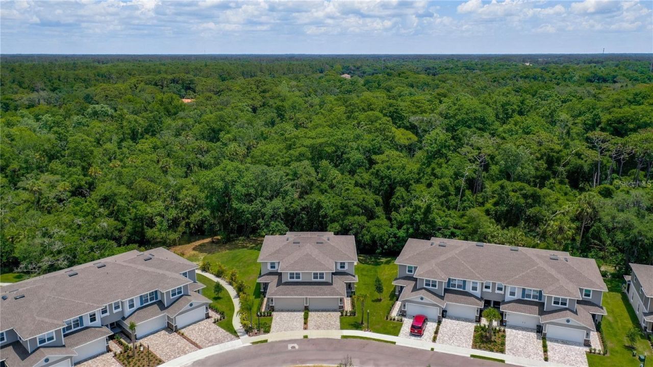 5332 Riverwalk Preserve Drive, New Port Richey, FL 34653 Photo