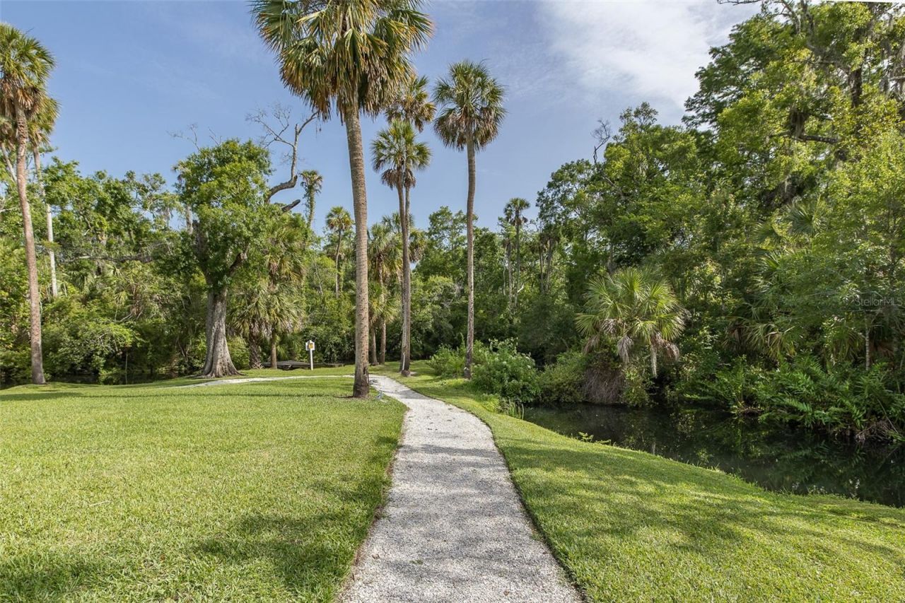 5332 Riverwalk Preserve Drive, New Port Richey, FL 34653 Photo