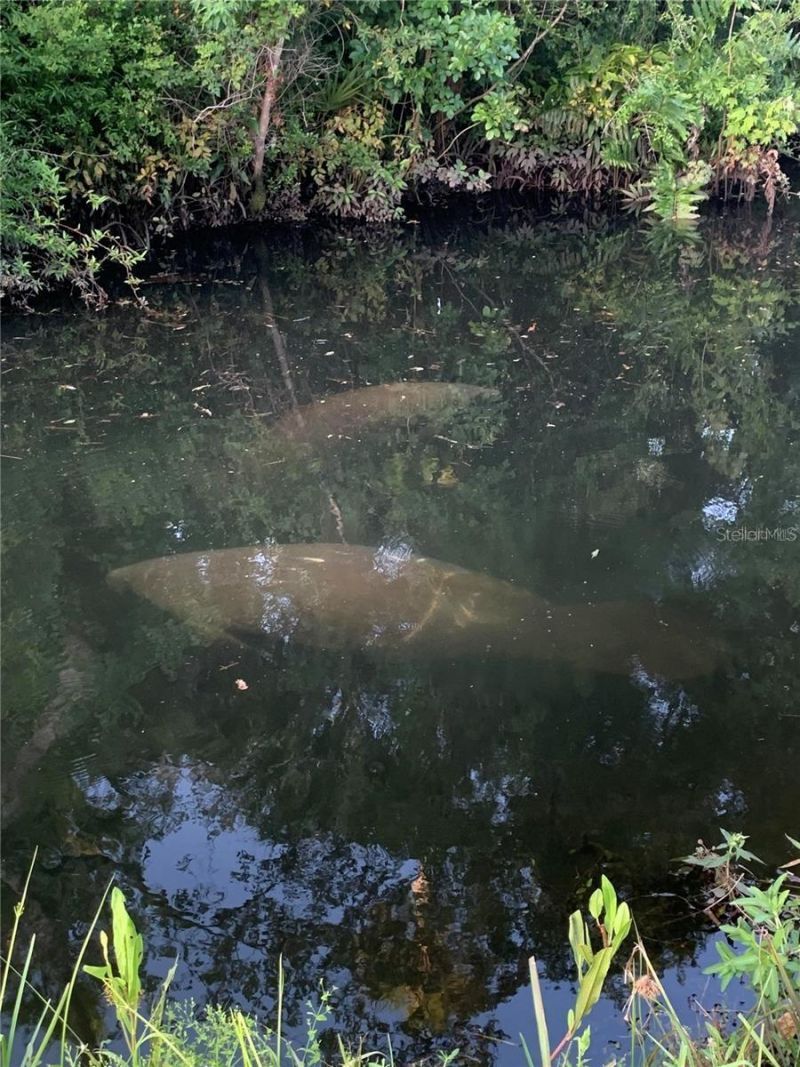 5332 Riverwalk Preserve Drive, New Port Richey, FL 34653 Photo