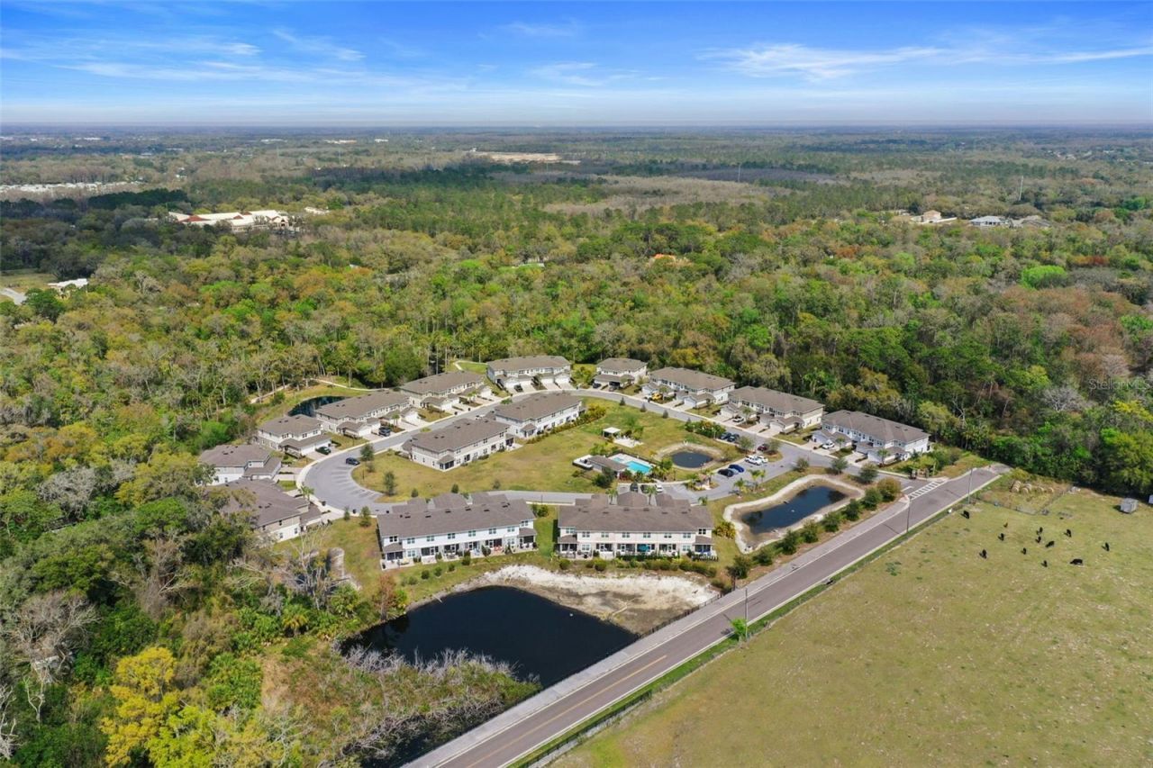 5332 Riverwalk Preserve Drive, New Port Richey, FL 34653 Photo