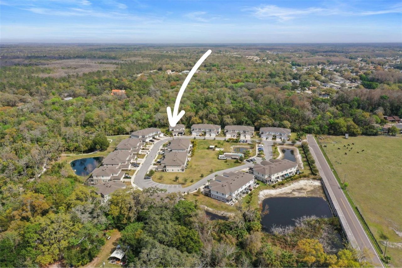 5332 Riverwalk Preserve Drive, New Port Richey, FL 34653 Photo