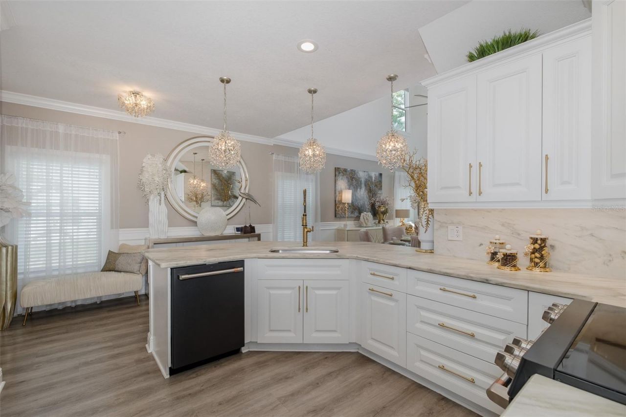 5332 Riverwalk Preserve Drive, New Port Richey, FL 34653 Photo