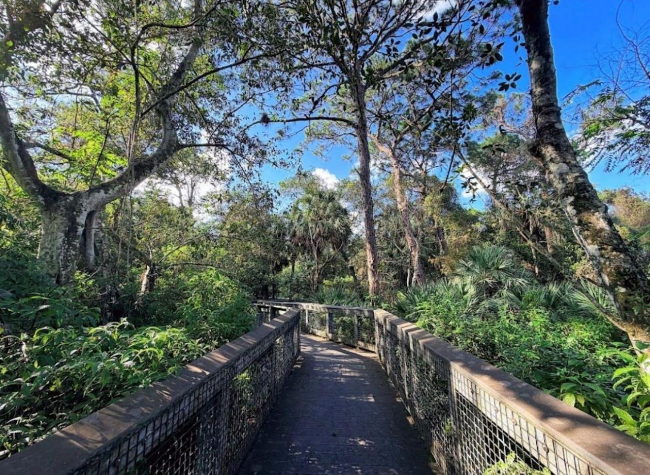 8821 NW 38th Drive, Unit 205A, Coral Springs, FL 33065 Photo