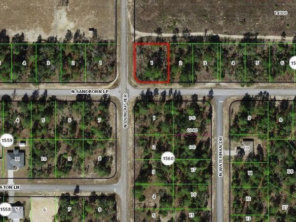 6816 N Sandborn Loop, Citrus Springs, FL 34433