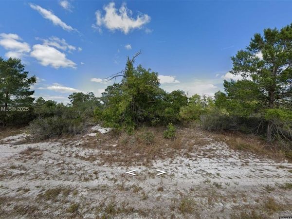 341 NE Galapagos Ave, Lake Placid, FL 33852