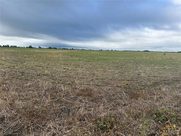 0 County Road 406, Hayti, MO 63851