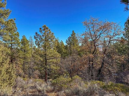 2850 22n03, Beckwourth, CA 96129 Photo