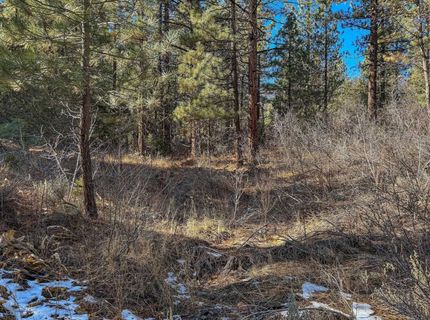 2850 22n03, Beckwourth, CA 96129 Photo