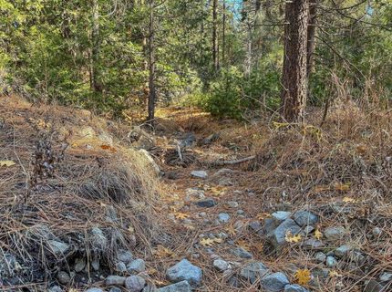2850 22n03, Beckwourth, CA 96129 Photo