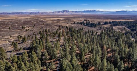 3000 22n03, Beckwourth, CA 96129 Photo