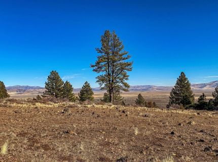 3000 22n03, Beckwourth, CA 96129 Photo