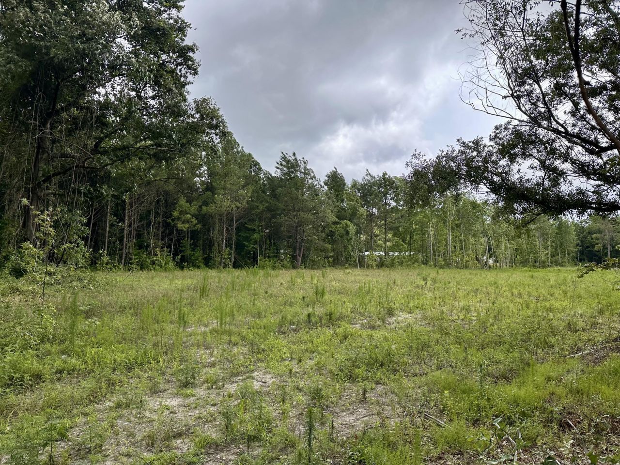 55 Seabrook Center Road Photo 5