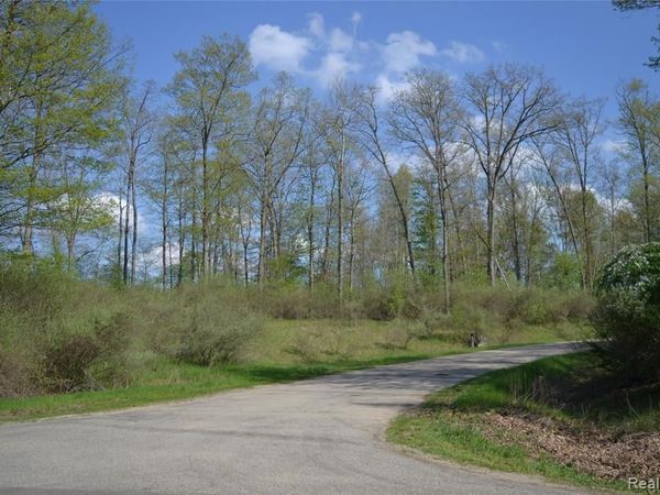 00 Oak Ridge Court, Mills Twp, MI 48756