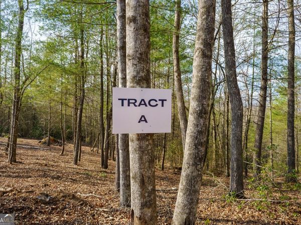 TR A East New Hope Road, Ellijay, GA 30536