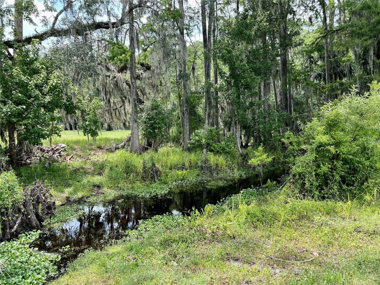 1508 Lake Mills Road, Chuluota, FL 32766 Photo