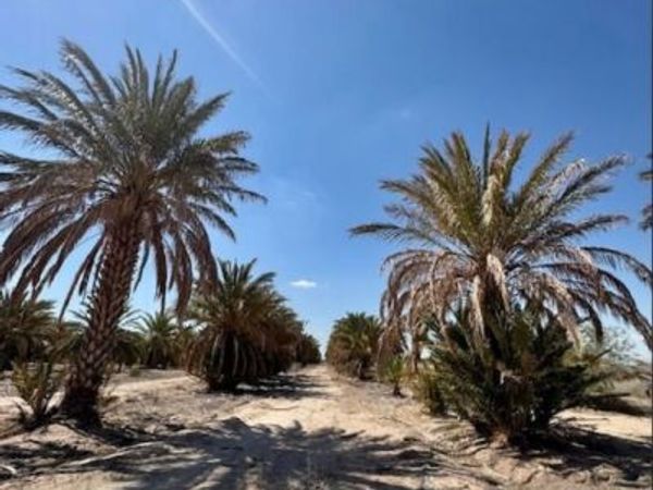 0 Noffsinger, Niland, CA 92257