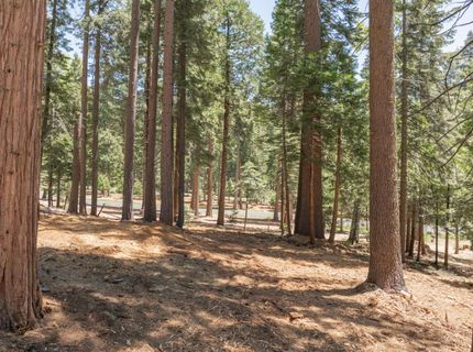3043 Shoshone Dr, Camp Connell, CA 95223 Photo
