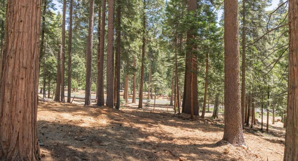 3043 Shoshone Dr, Camp Connell, CA 95223 Photo