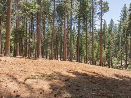 3043 Shoshone Dr, Camp Connell, CA 95223 Photo