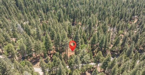 3043 Shoshone Dr, Camp Connell, CA 95223 Photo