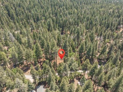 3043 Shoshone Dr, Camp Connell, CA 95223 Photo