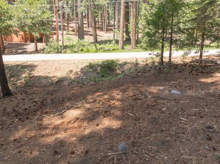 3043 Shoshone Dr, Camp Connell, CA 95223 Photo