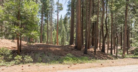 3043 Shoshone Dr, Camp Connell, CA 95223 Photo