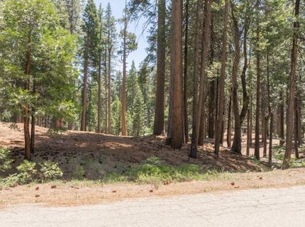 3043 Shoshone Dr, Camp Connell, CA 95223 Photo