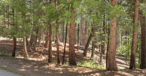 3043 Shoshone Dr, Camp Connell, CA 95223 Photo
