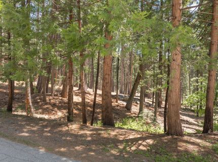 3043 Shoshone Dr, Camp Connell, CA 95223 Photo
