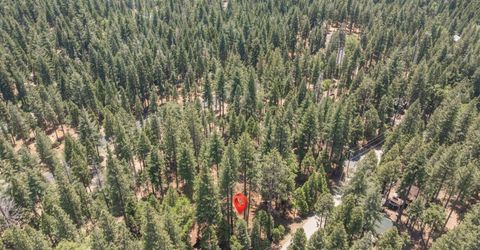 3043 Shoshone Dr, Camp Connell, CA 95223 Photo