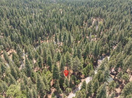3043 Shoshone Dr, Camp Connell, CA 95223 Photo