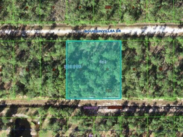 515 BOUGAINVILLE DRIVE, INDIAN LAKE ESTATES, FL 33855