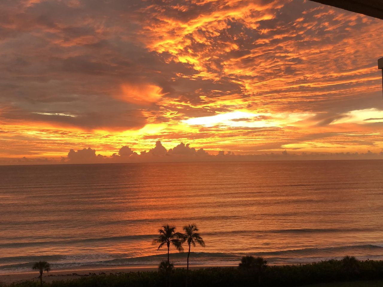 100 Ocean Trail Way, Unit 908, Jupiter, FL 33477 Photo