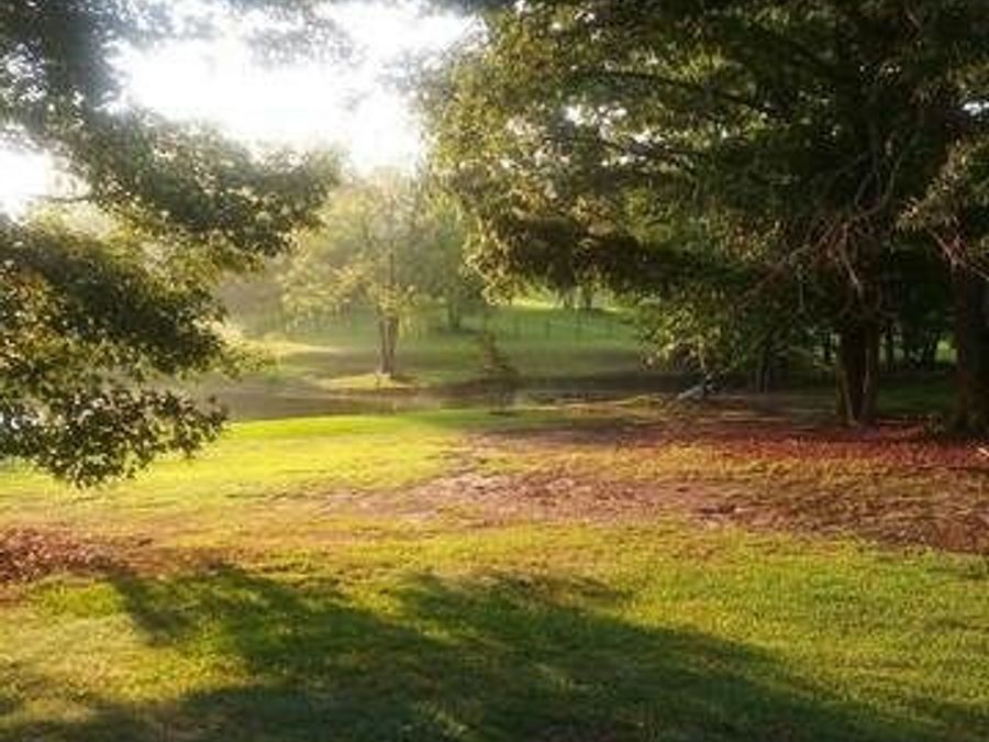 Property Image 82