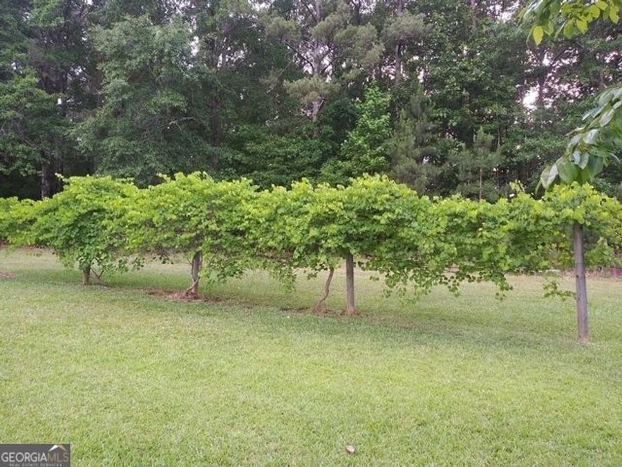 Property Image 87