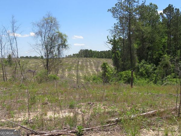 0 Pineville Road, Buena Vista, GA 31803