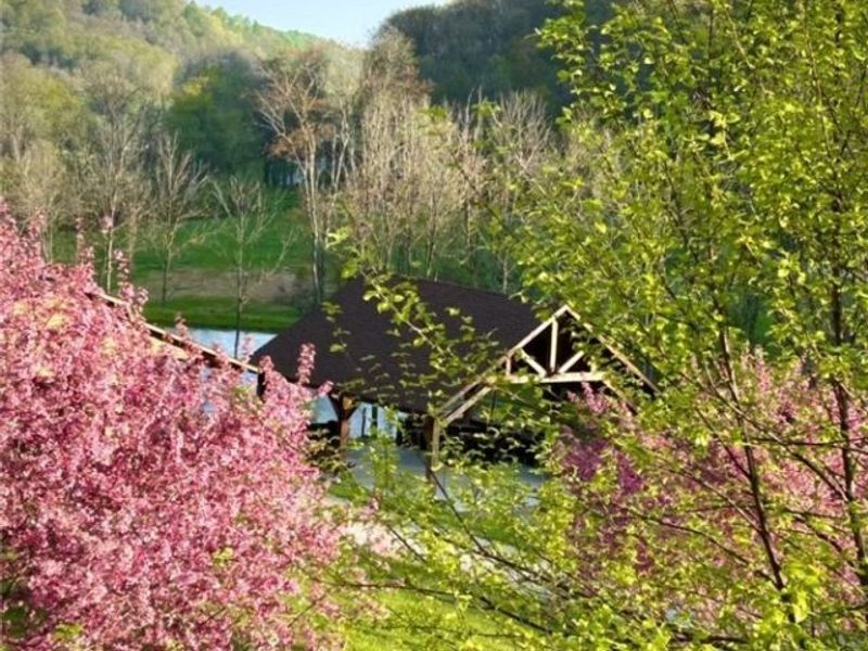 85200 Merryman Road, Cadiz, OH 43907 Photo 16